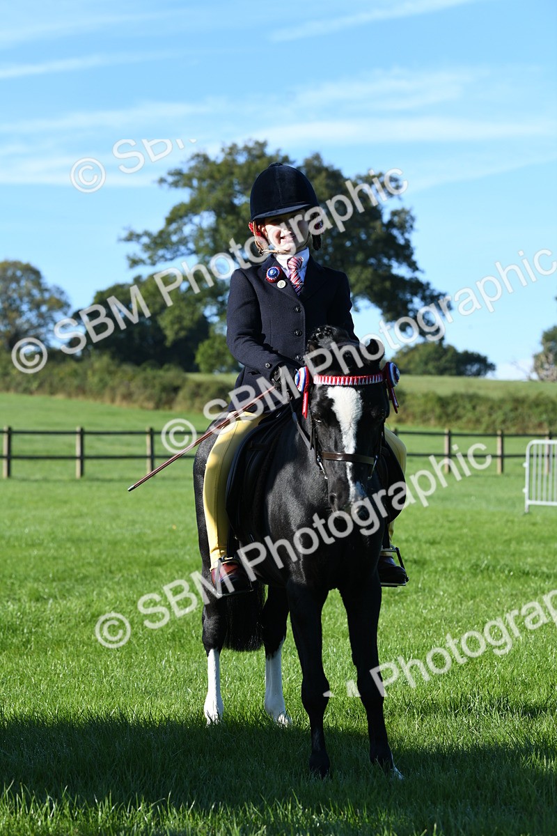 SBM_34070 - S16 - Condition & Turnout - Ridden