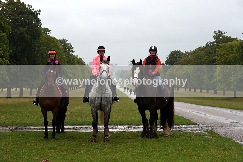 TT3_8052 - Time at Crossing 09:15 to 10:15