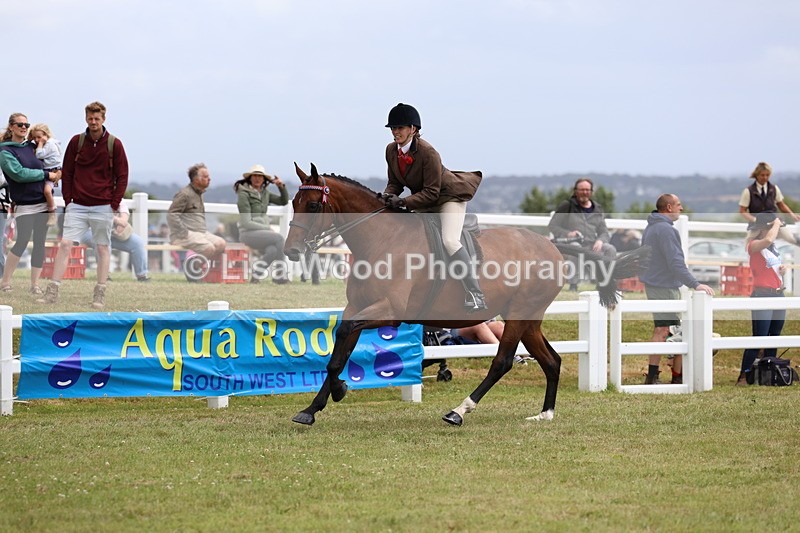 3E7A0985 - Class 8: Open Riding Horse/Hack