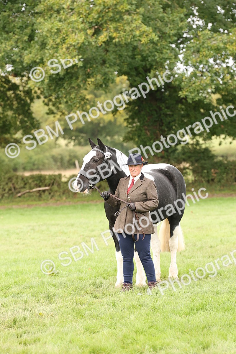 SBM_57512 - S56 - Show Cob in Hand