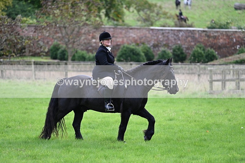 WJ7_4652 - Camera 1 Line 3