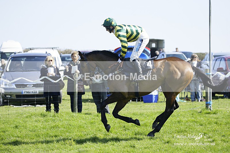 PtP 190322 162 - Wilton Hunt PtP Milborne St Andrew 19/03/22