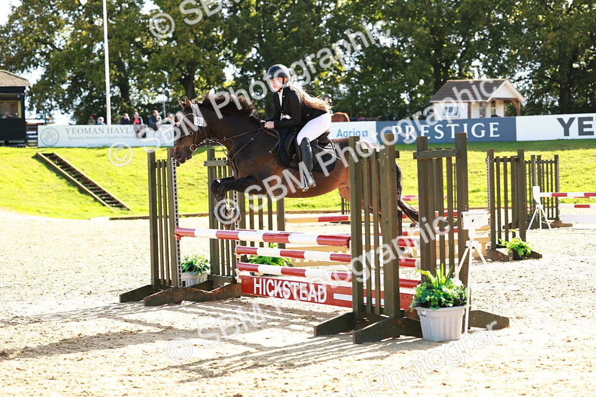 SBM_37942_J39 Senior Horse and Pony 85cm Championship - Dolcie Mae Ivison