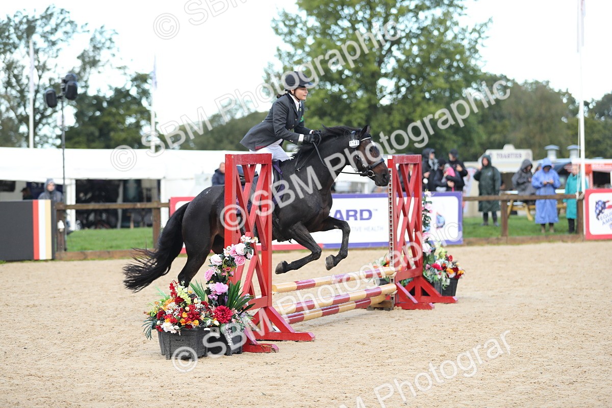 SBM_37272 - J20 - Junior Horse 50cm Championship
