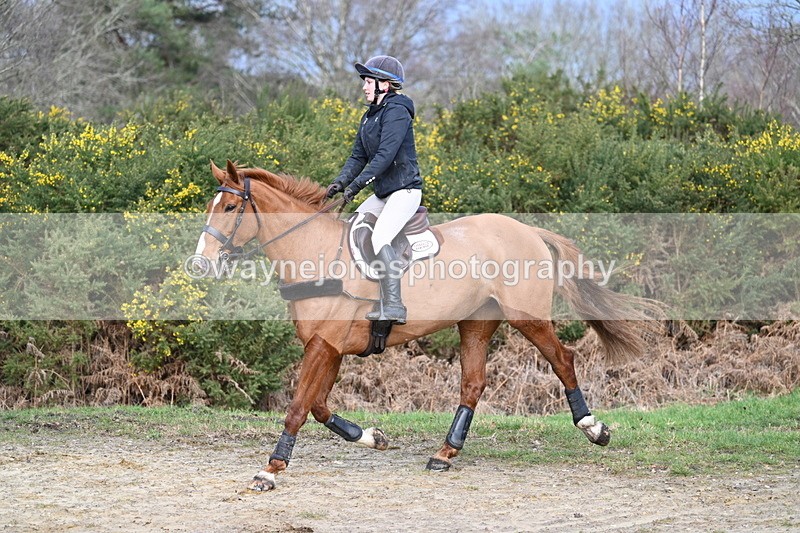 WJ7_8588 - Time 11:41 to 12:16