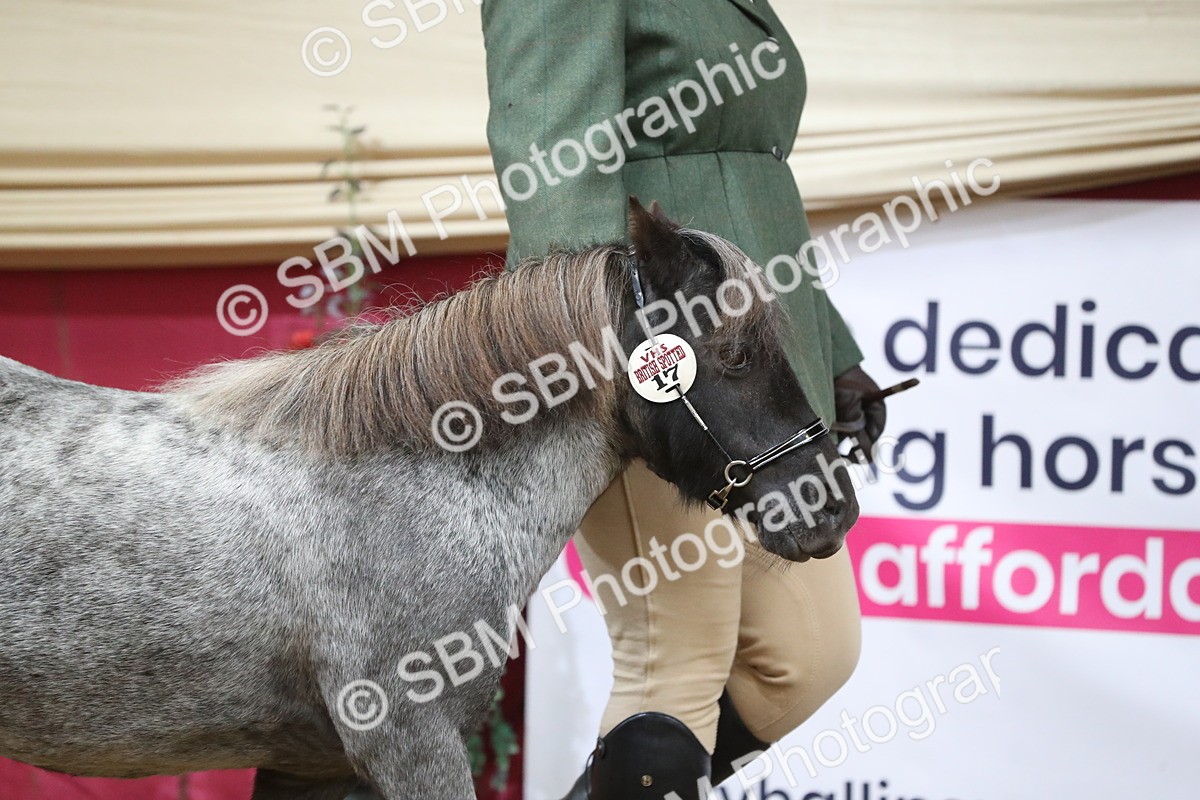 SBM_06207 - Class 9R Regional- IH Pre Vet