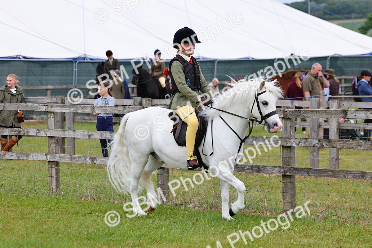SBM_08520 - Class 42-43 - LIHS BSPS Heritage Working Sports Pony
