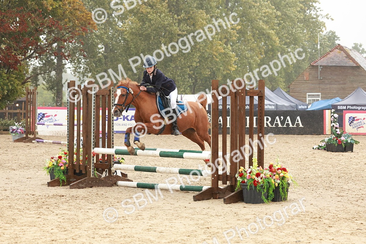 SBM_73352 - Supreme Championship Junior Pony 60cm & 65cm