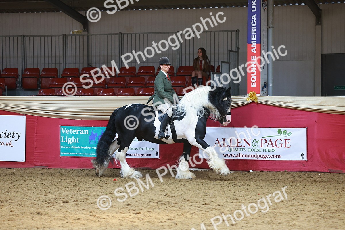 SBM_12739 - HOYS Veteran Qualifier - Ridden Champ