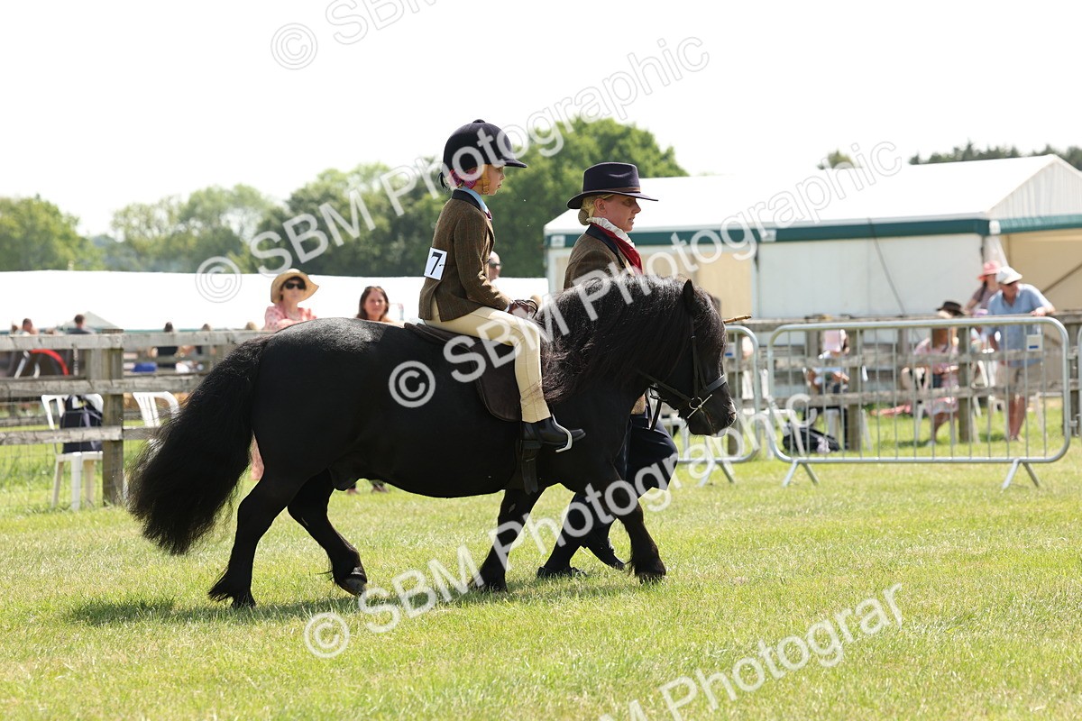 SBM_05194 - Class 24-25 - Mountain & Moorland In Hand Lead Rein and First Ridden