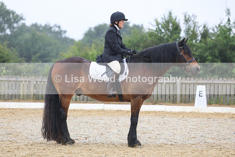 3E7A8479 - Class 2: Intro 3 2024 section B