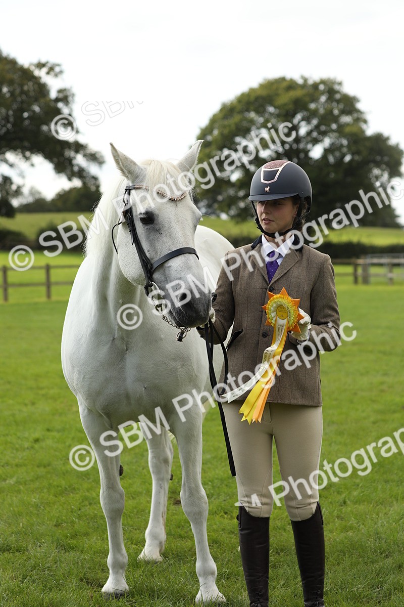 SBM_65550 - S47 - Mountain & Moorland In Hand Large Breeds
