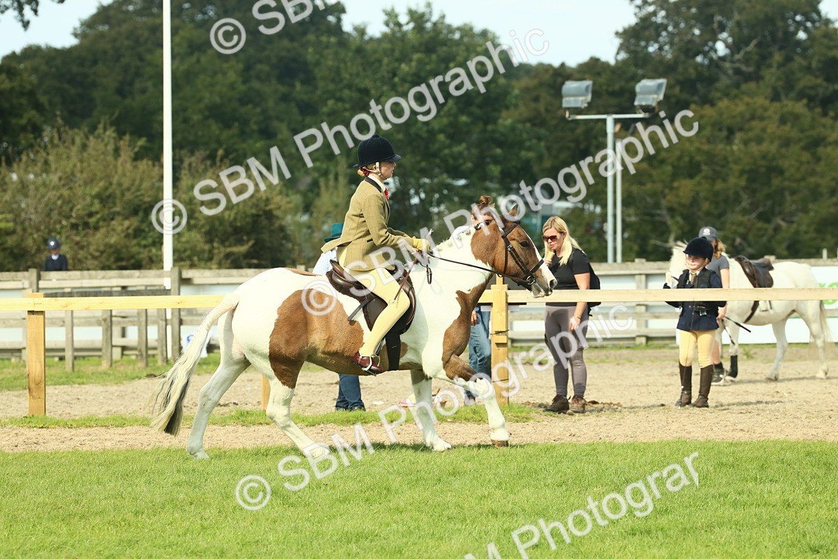 SBM_67658 - S56 - Coloured Pony Ridden