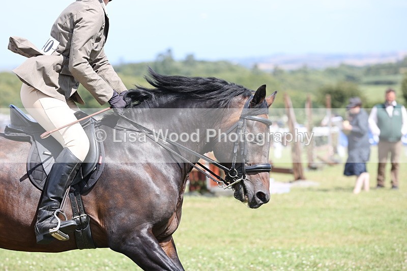 JPP_2172 - Class 19: Working Hunter 60cm