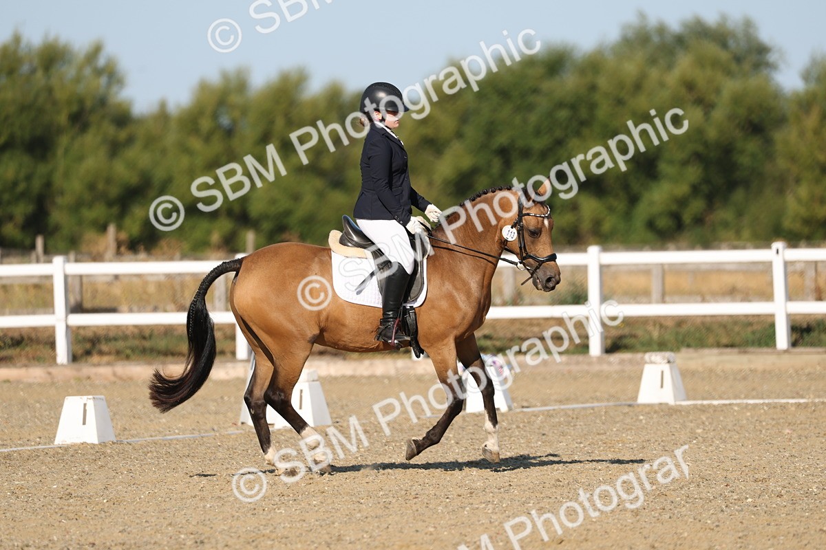 SBM_012612 - Class 1 - P5 Bronze 9.00.10.12
