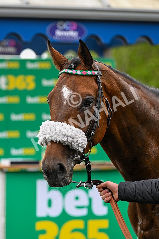 240525-Race 1-Tarriance-9761 - Race 1