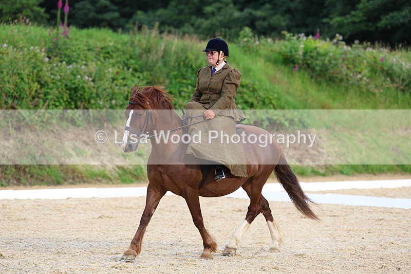 3E7A2046 - Class 3: Prelim 2 2024 Section A