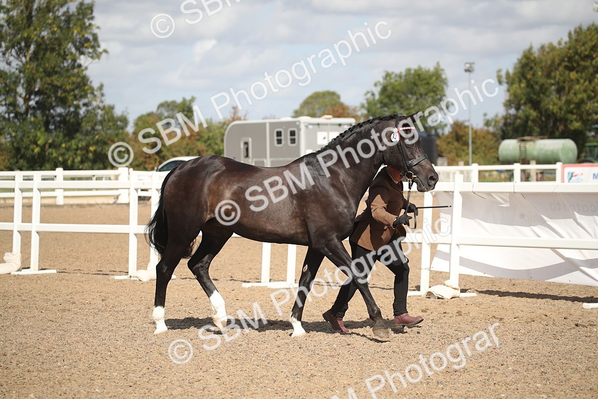 SBM_23420 - Class 604 - 2026 - Area IH Diamond