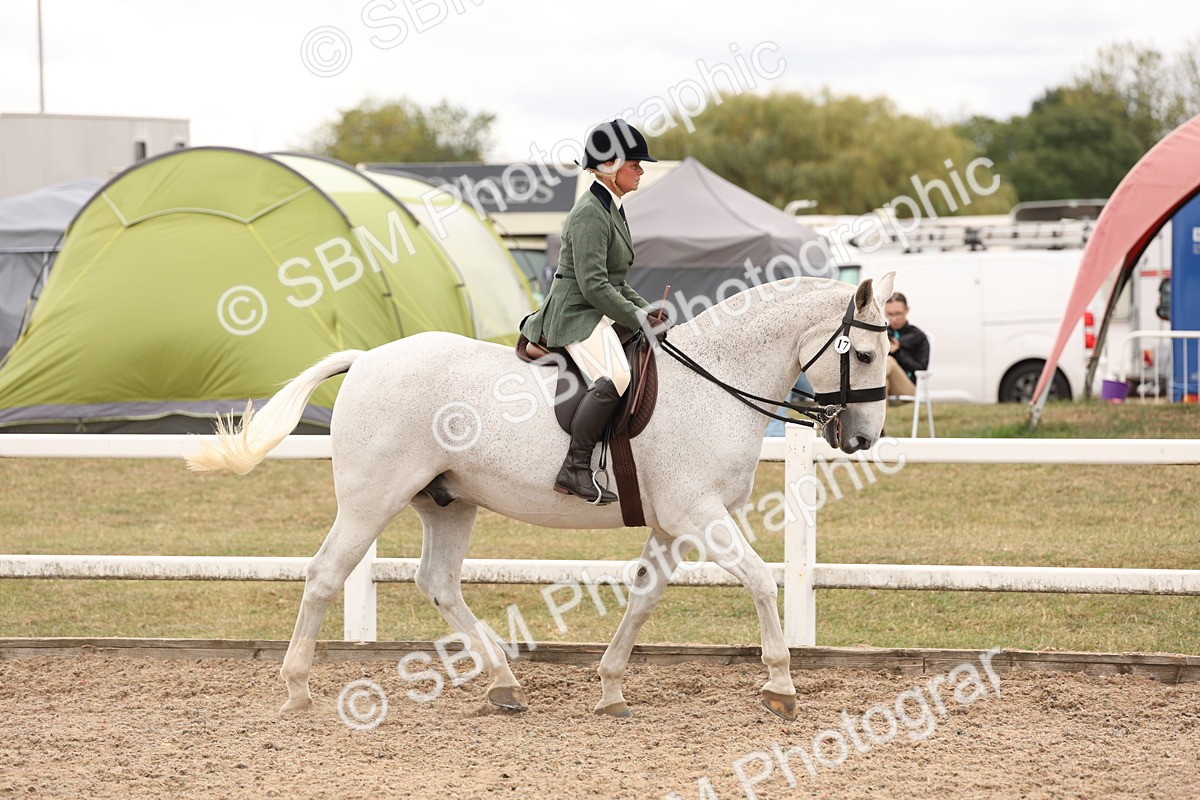SBM_19498 - Class 215 - Ridden Show cob