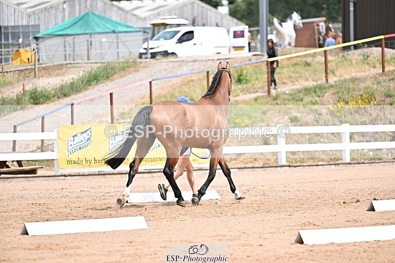 250716-132537-00502 - Trot Up 12.30 to 1.30