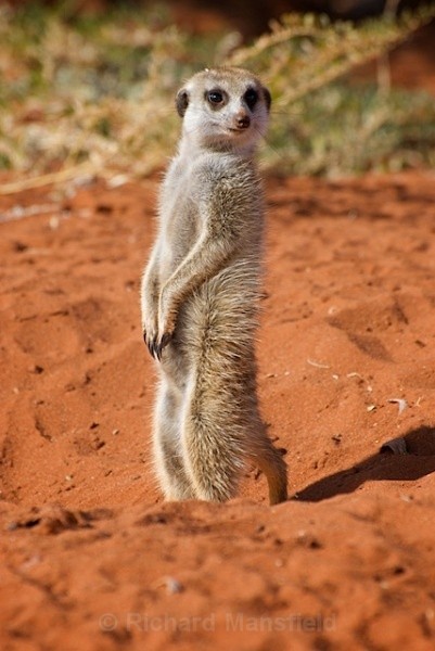  - Namibia
