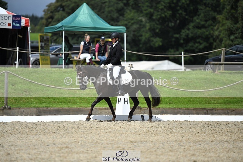 230812-121342-04062 - Cls 6 Novice Silver 12.10 to End