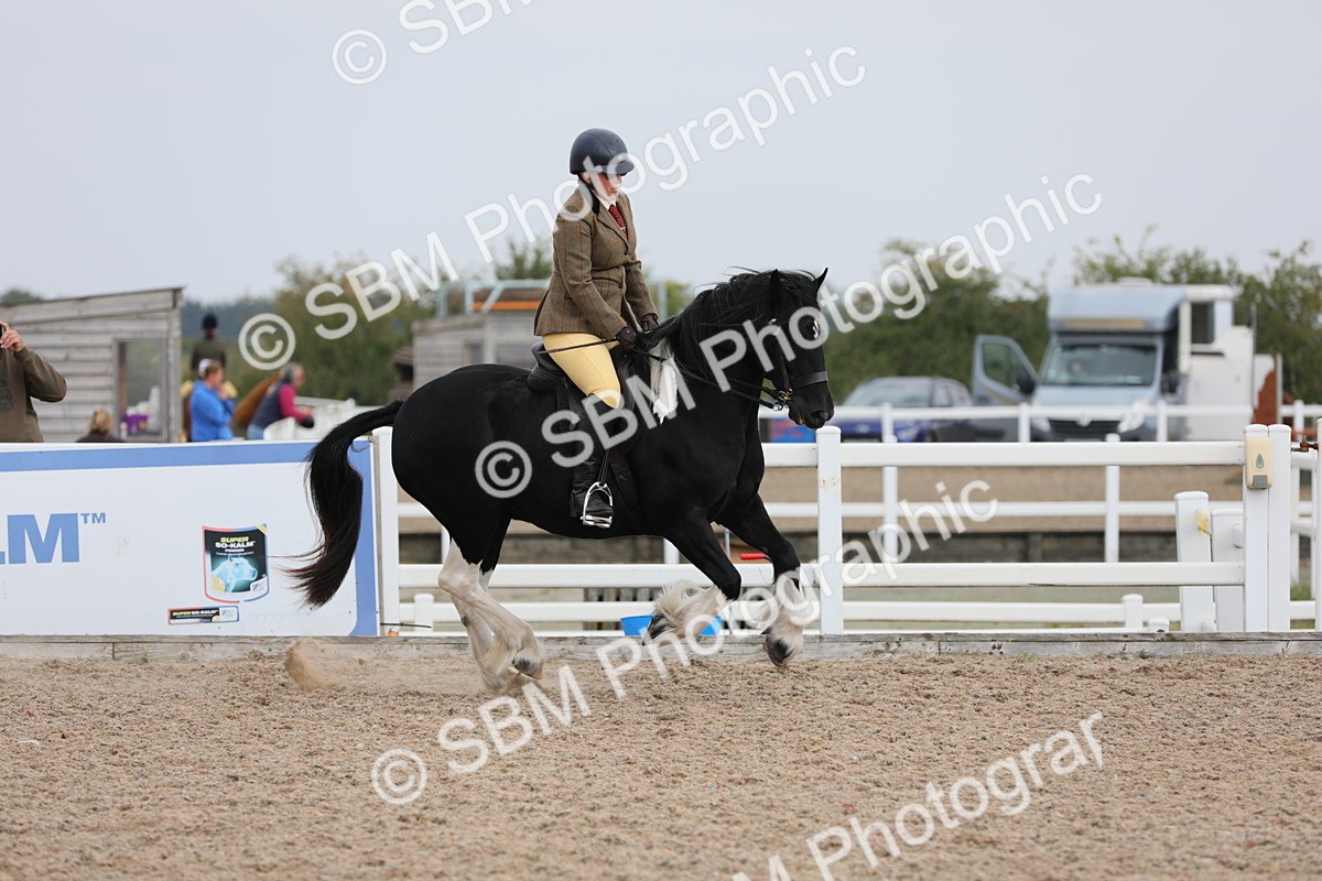 SBM_12746 - Class 307 Ridden Coloured Pony