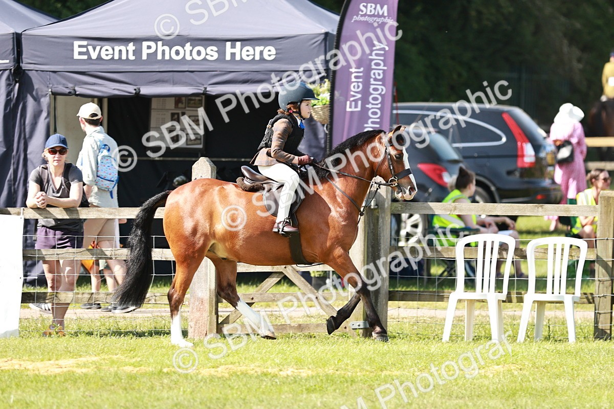 SBM_12739 - Class 106-107 - BSPS LIHS Working Sports Pony