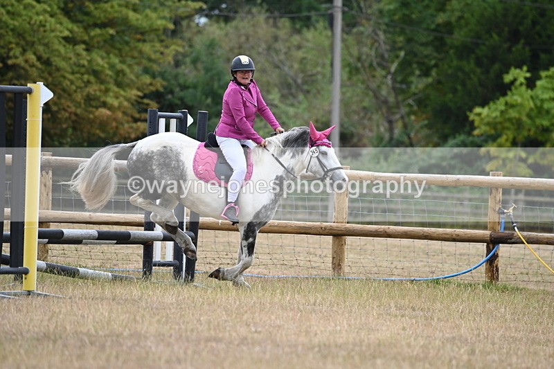 WJ6_0337 - Class 13 Novice Jumping 60cm