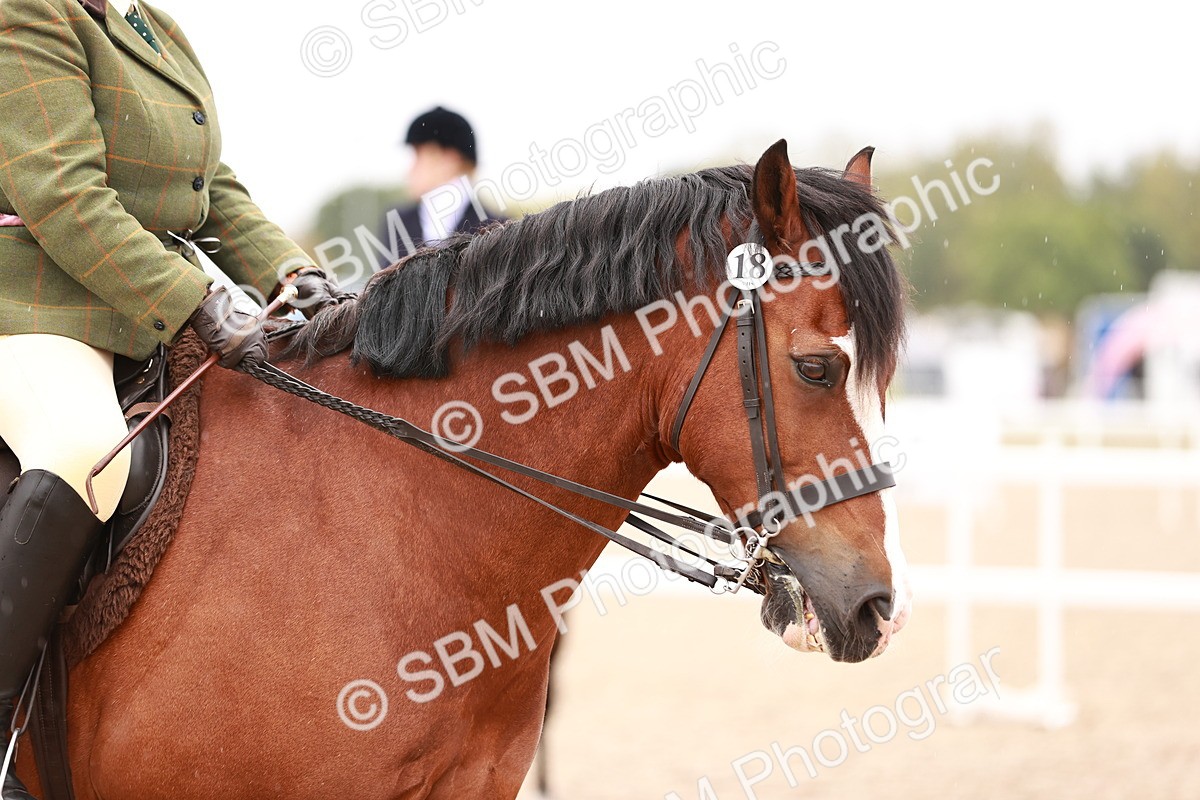 SBM_19019 - Class 422 - Ridden M&M