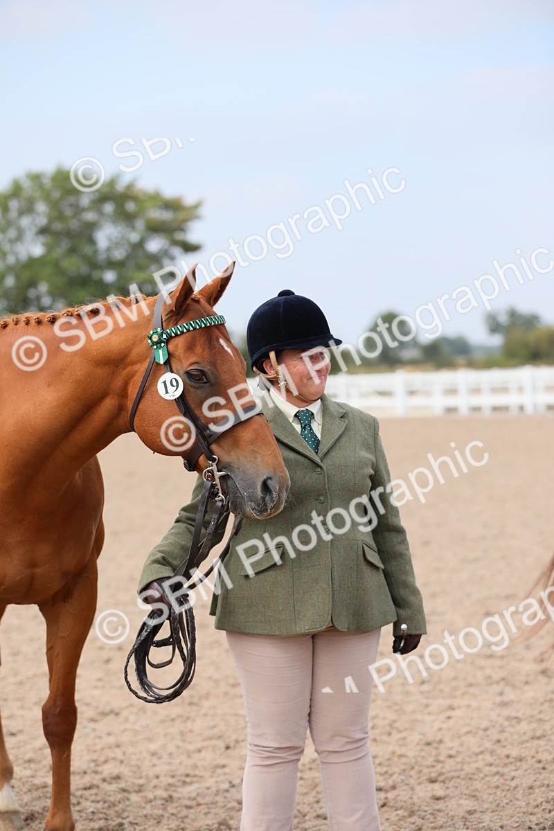 SBM_15976 - Class 313 IH Retired Racehorse