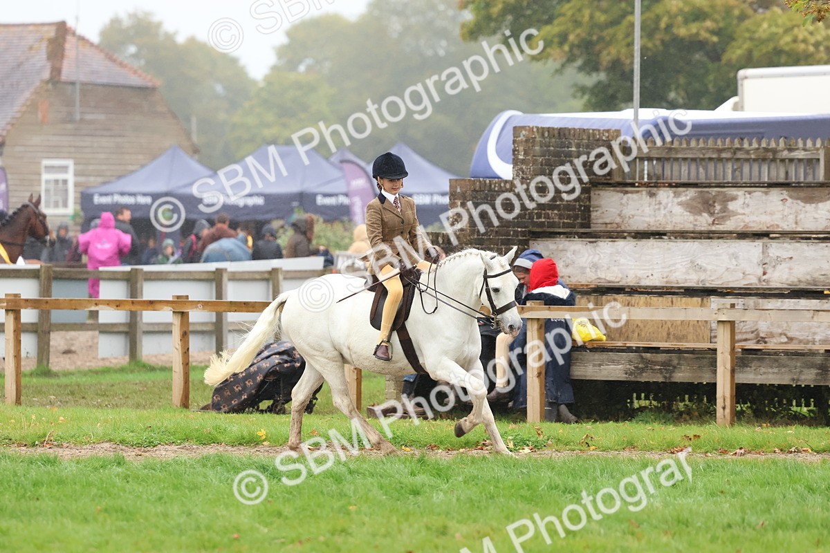 SBM_73048 - S63 Show Pony & Show Hunter Pony Ridden