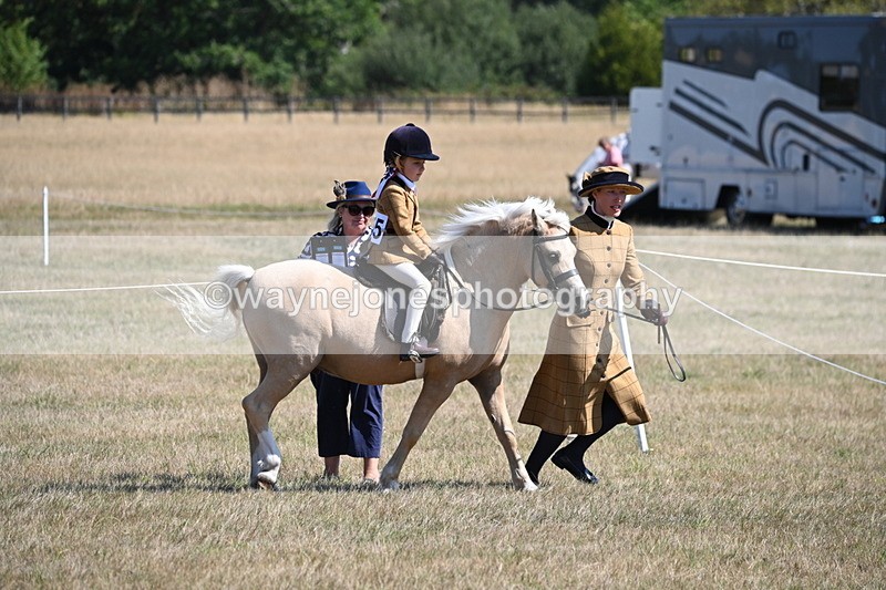 WJ6_7731 - Class 36 Lead Rein