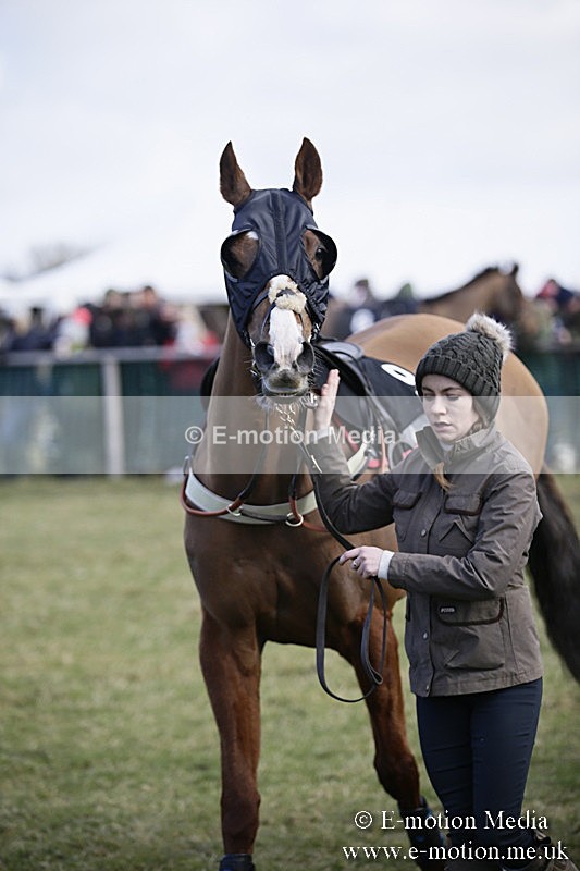 PtP 040218 75 - Point-to-Point Milborne St Andrew 04/02/18