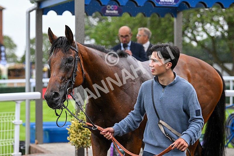 040725-Race 3-Orbaan-4811 - Race 3