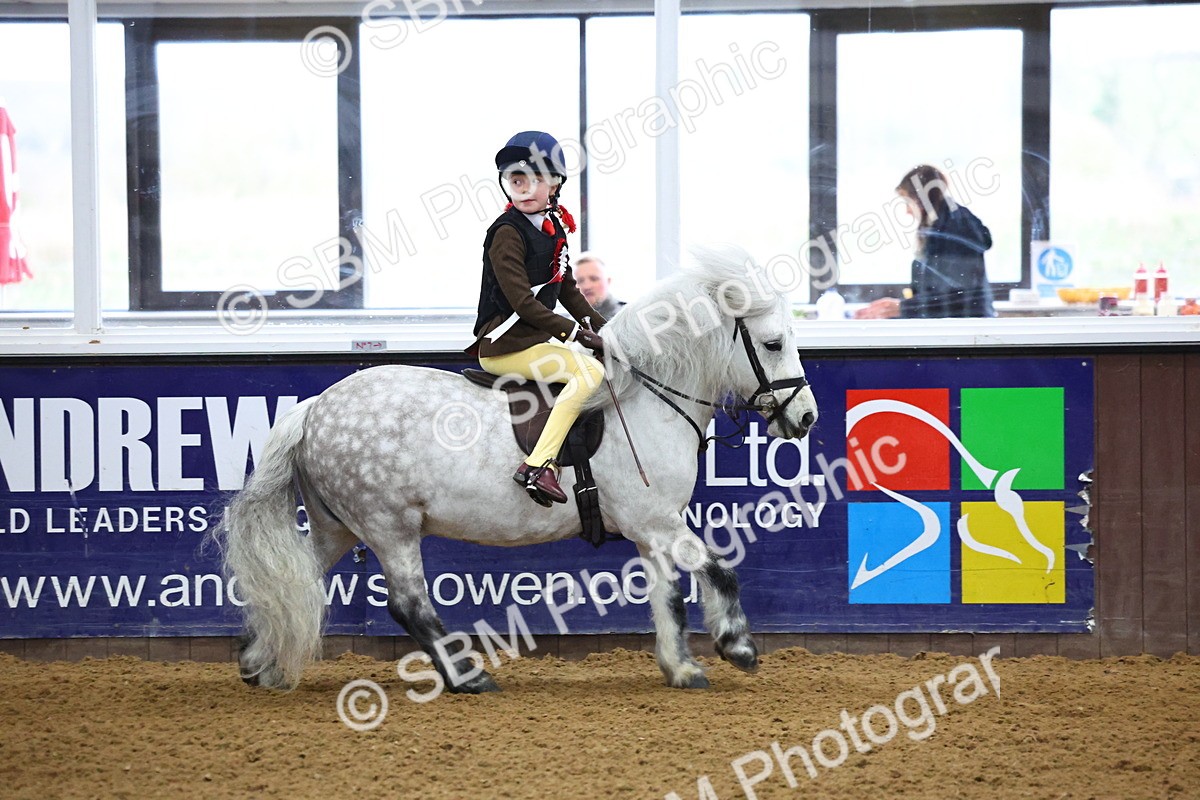 SBM_003218 - Class 35 - 60cm Training Stakes