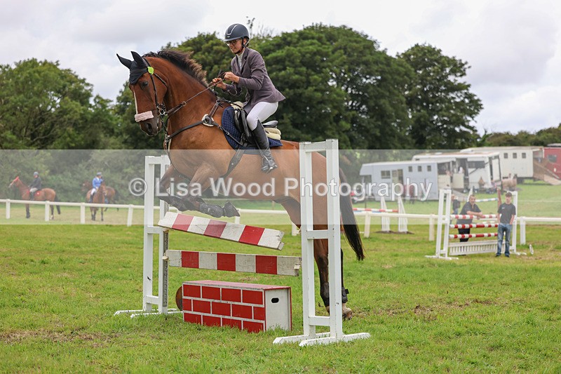 3E7A8184 - Class 7: Senior Newcomers/1.10m open