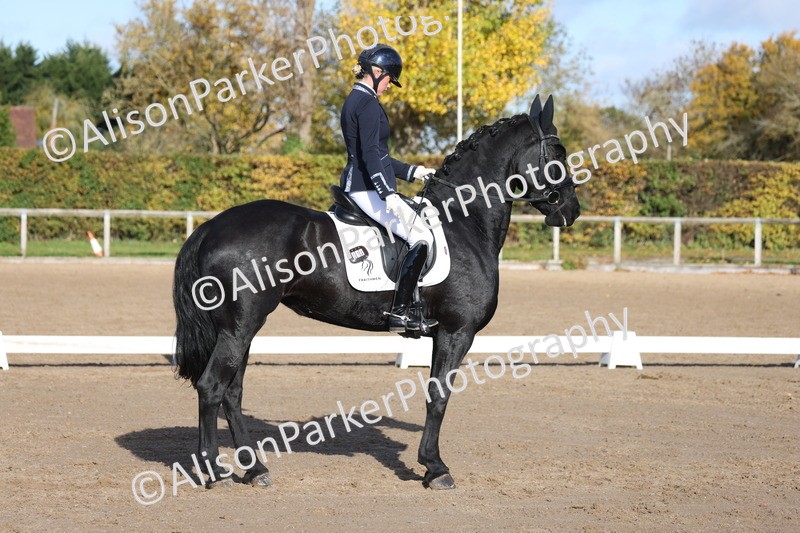 20251102-0639 - Class 4 - Novice 6