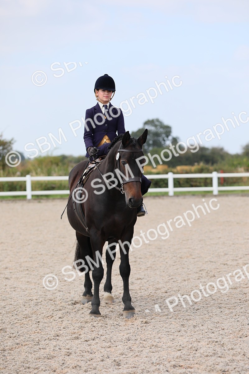 SBM_14583 - Class 211 Best Side Saddle Horse/Pony