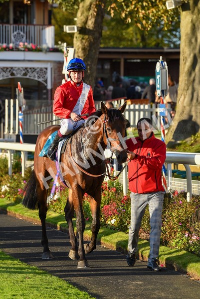141023-Race 7-Star Ahoy-1719 - Race 7 4.45pm Coral 'Committed To Safer Gambling' Finale Handicap