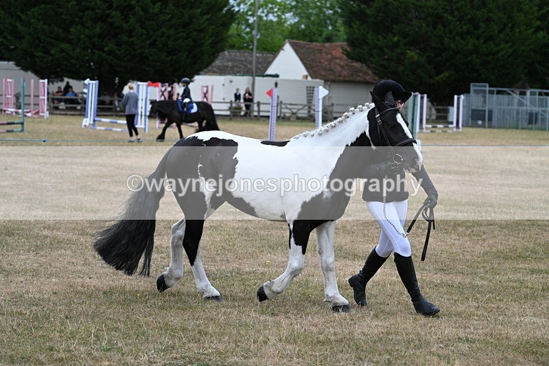 WJ7_8373 - Class 4 Prettiest Mare up to 14.2hh