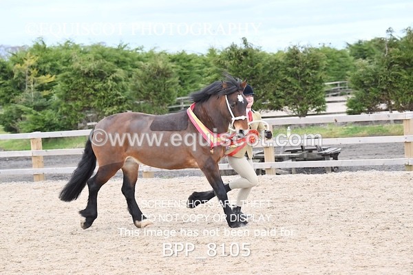 BPP_8105 - SUPREME CHAMPIONSHIP