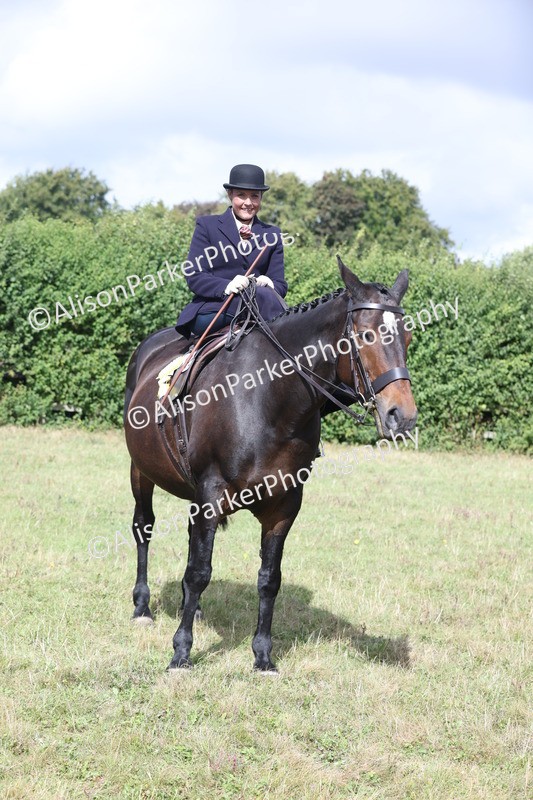 20250831-1263 - Class 15 - Ridden Veteran