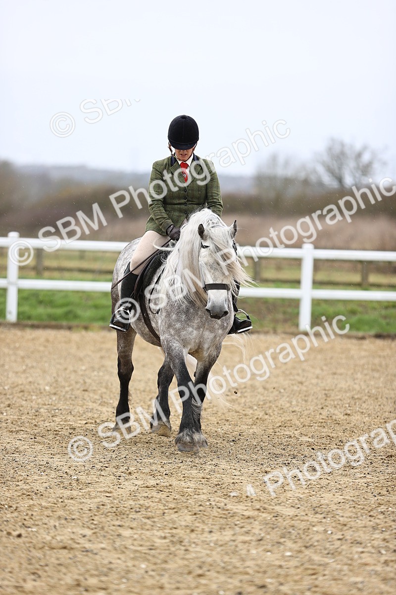 SBM_007548 - Class 31-32 - M&M Confined Novice Small-Large