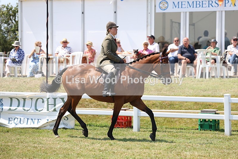 3E7A9298 - Class 12: Open Racehorse to Show Horse