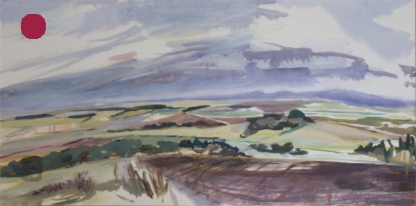 Cheviots from Helm Plantation October Sold - Letter from Home