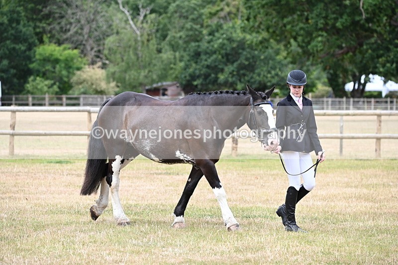 WJ6_4547 - Class 10 Coloured In-hand