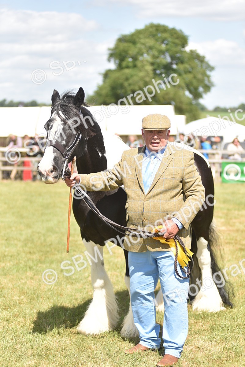 SBM_16101 - Class 117-122 - SSADL RIHS Qualifier