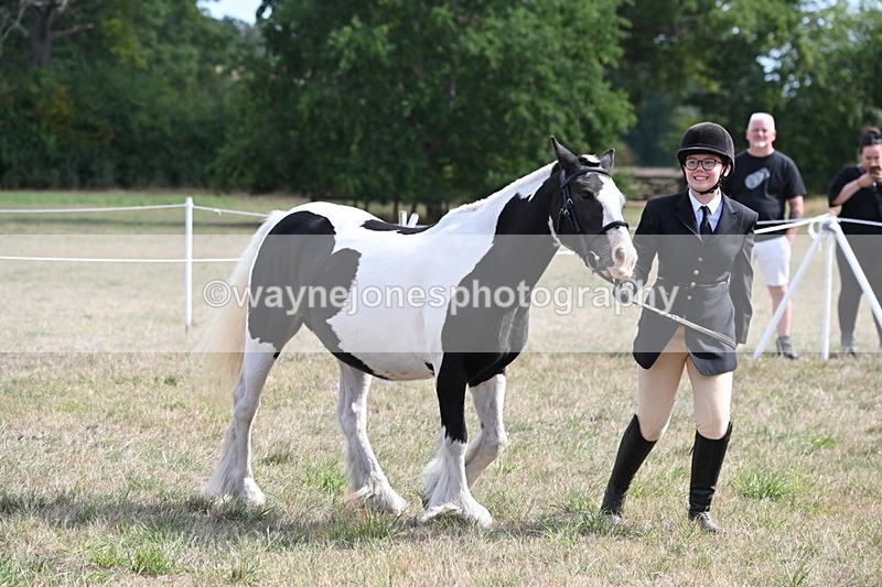 WJ6_6629 - Class 20 In-hand Cob