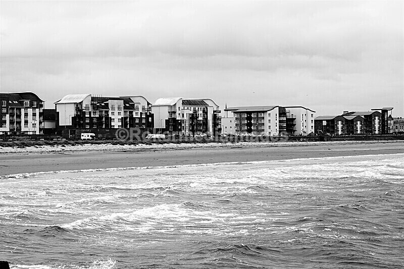 DSC07949 - SEPT 2020 STAYCATION